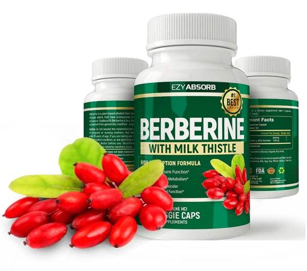 Diabetes Offer: Berberine Supplement - Image 2